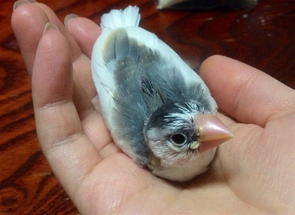 �Җ������