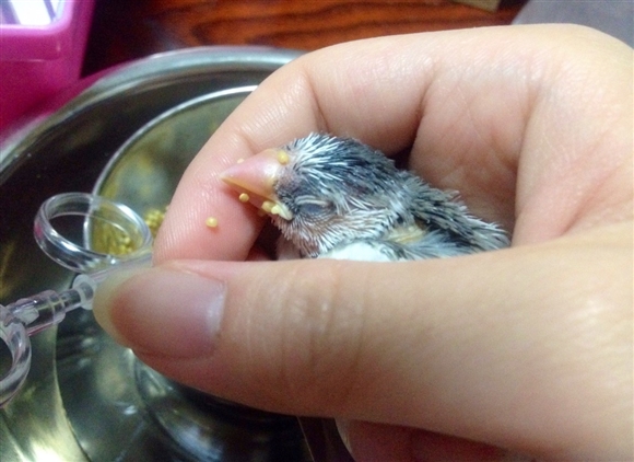 �Җ������