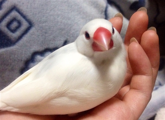 �Җ������