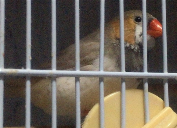 ��҂����