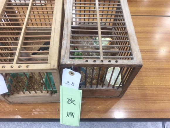 �s�C�`�N���