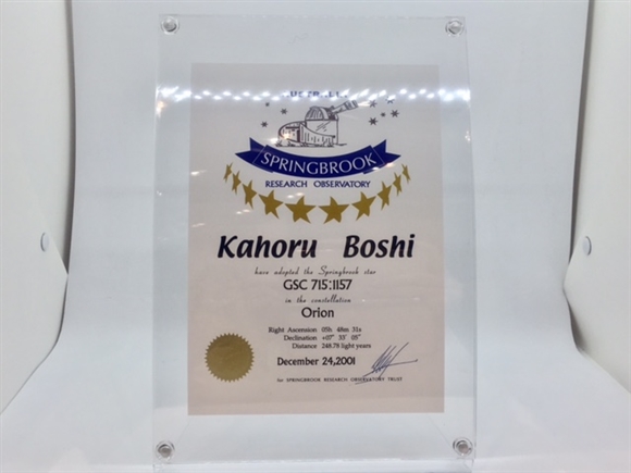 �X�^�[�l�[�~���O�M�t�g�@�������ؖ���