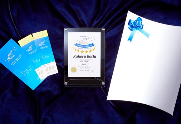 �X�^�[�l�[�~���O�M�t�g