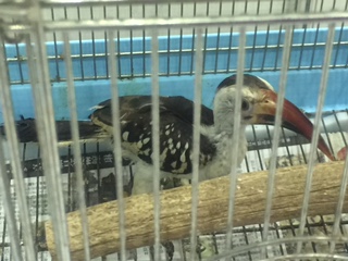 �A�J�n�V�R�T�C�`���E