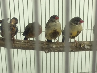 �x�j�X�Y��