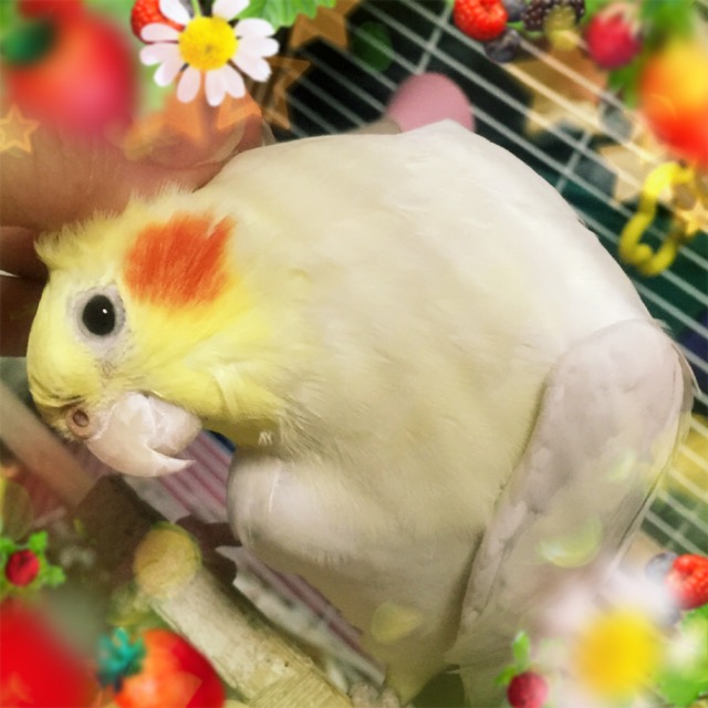 �S�������