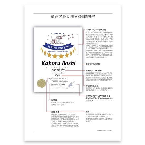 �������ؖ����̋L�ړ��e