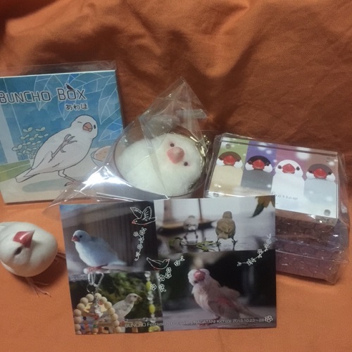 �C���R,�I�J���C���R,����,�����̓�