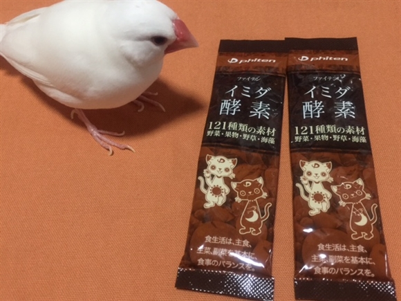 �t�@�C�e���̃C�~�_�E�y�f