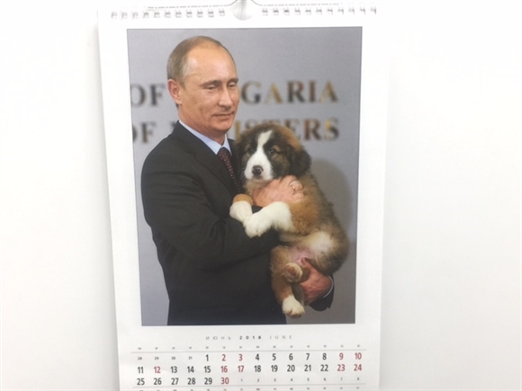 �v�[�`���J�����_�[