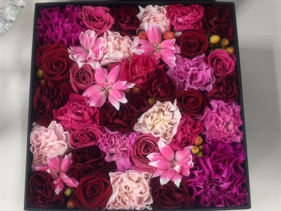 ���C�x�����~�j�R���C�o�[�O�}���̃t�����[�M�t�g�{�b�N�X