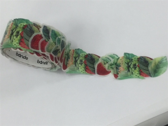 bande 1�����߂����}�X�L���O�e�[�v