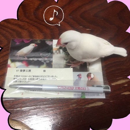 �C���R,�I�J���C���R,����,�����̓�