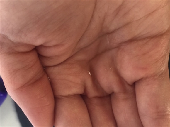 ���F���_�@���C�h���[�Y ���C�X�`���[���[�V����