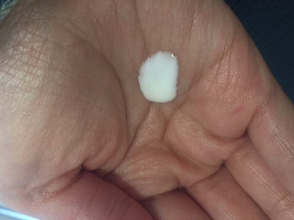 ���F���_�@���C���h���[�Y ���C�X�g�`���[�W�~���N