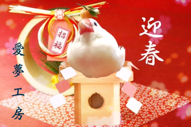 �C���R,�I�J���C���R,����,�I�E��