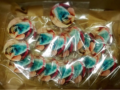 �C���R,�I�J���C���R,����,�I�E��,���̉�