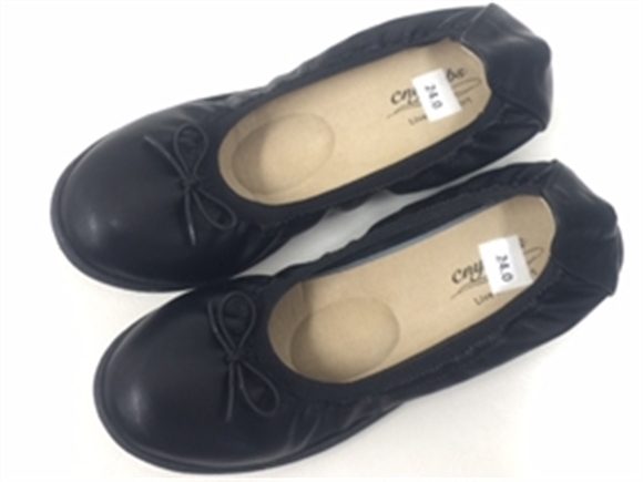 ���ɂ���v�X