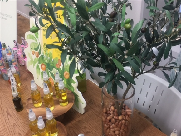 �������B�[�^ �r�I�I�C�� �A���K���I�C��