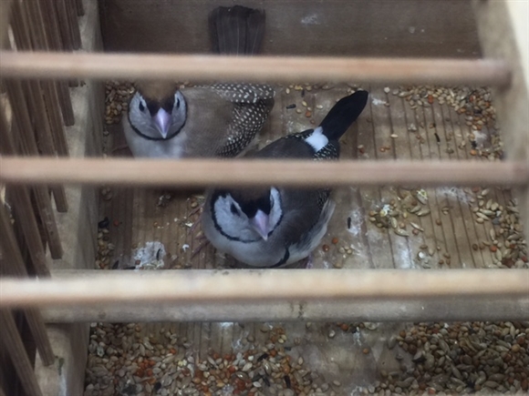 �J�m�R�X�Y��