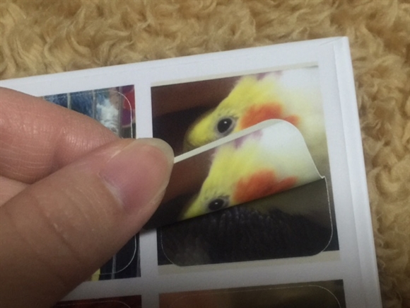 �}�C�u�b�N���C�t�@�V�[���X�^���h