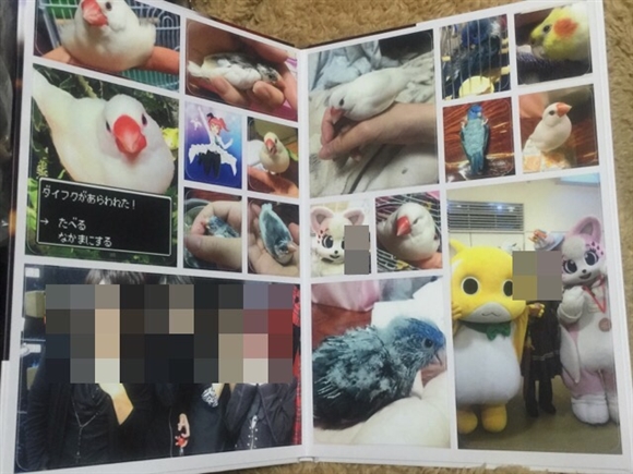 �}�C�u�b�N���C�t�@�V�[���X�^���h