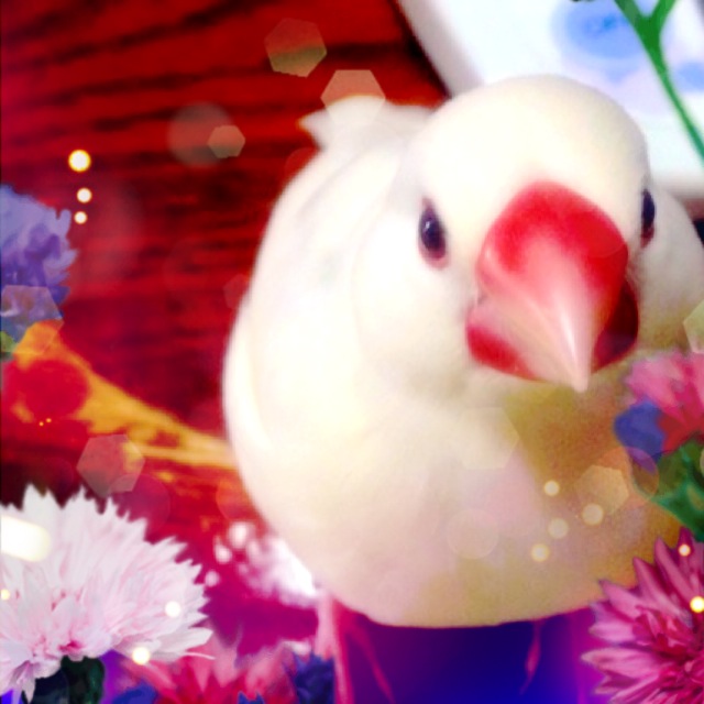 �S�������