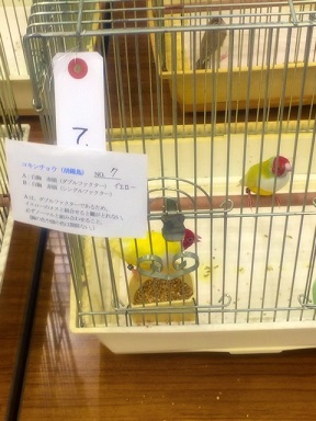 �s�C�`�N��