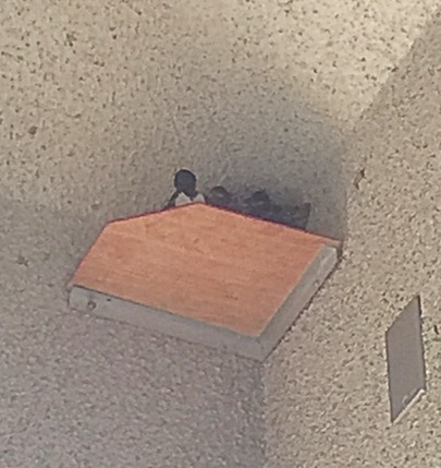 TSUBASA�t���[�}�[�P�b�g