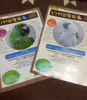 TSUBASA�t���[�}�[�P�b�g