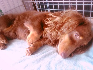 �x�������